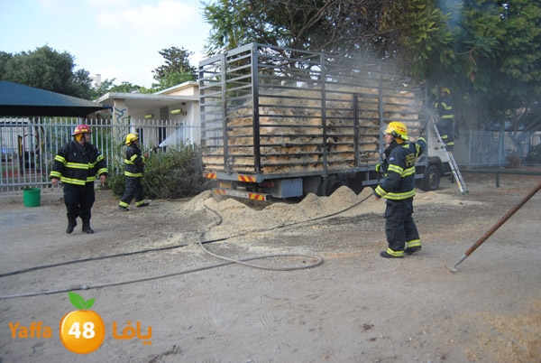 fire truck 804 (7).JPG